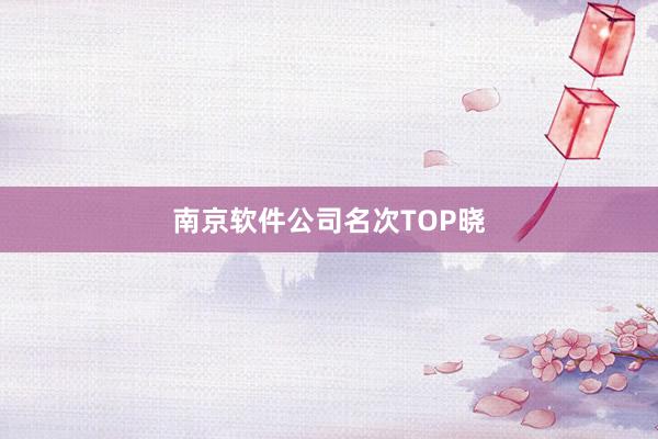南京软件公司名次TOP晓