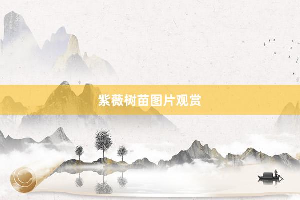 紫薇树苗图片观赏