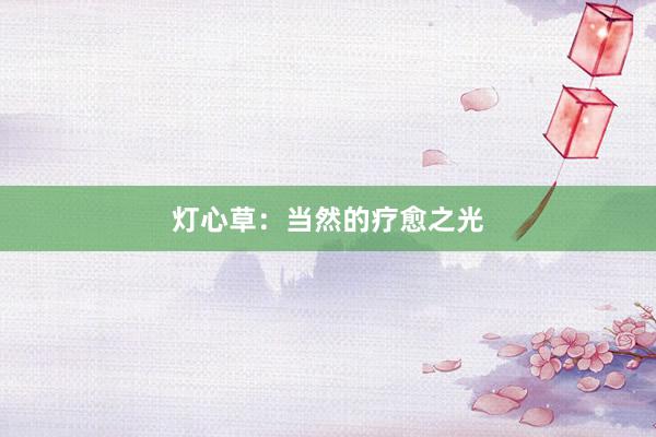 灯心草：当然的疗愈之光
