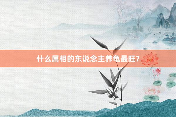 什么属相的东说念主养龟最旺？