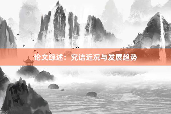 论文综述:究诘近况与发展趋势